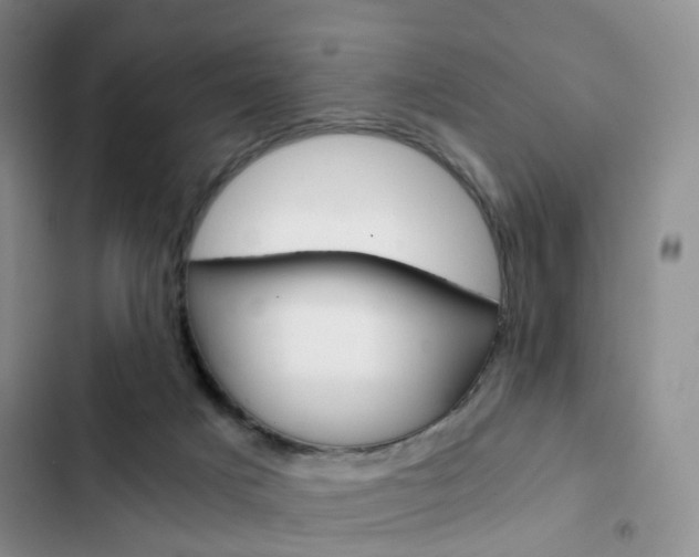 X0000103160025200808221203