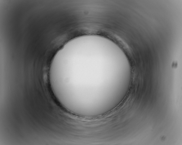 X0000103160026200808221203