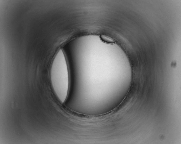 X0000103160028200808221203