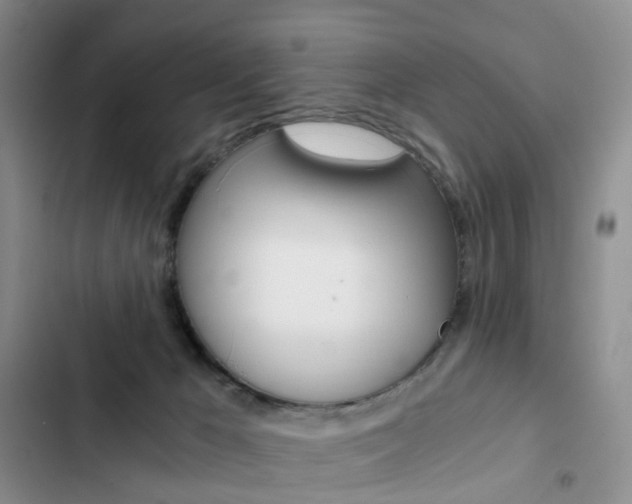 X0000103160029200808221203