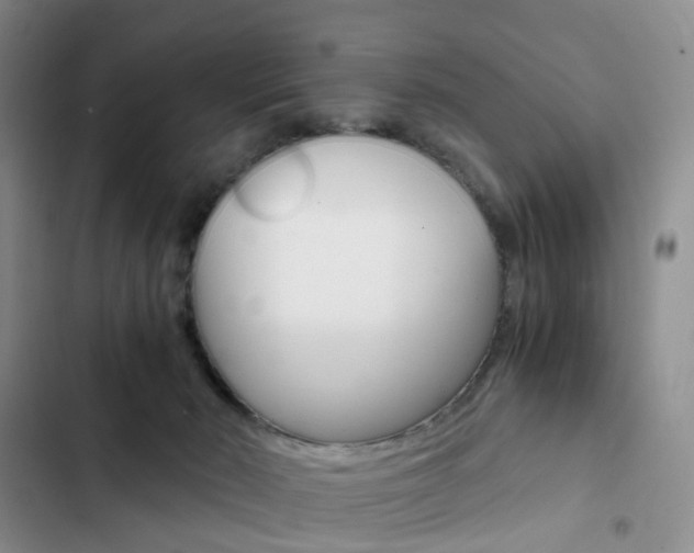 X0000103160030200808221203