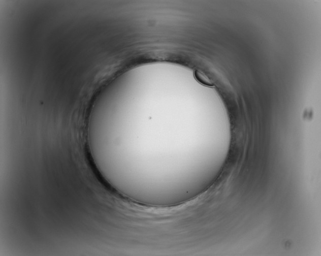 X0000103160031200808221203