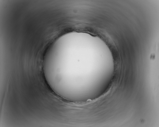 X0000103160033200808221203