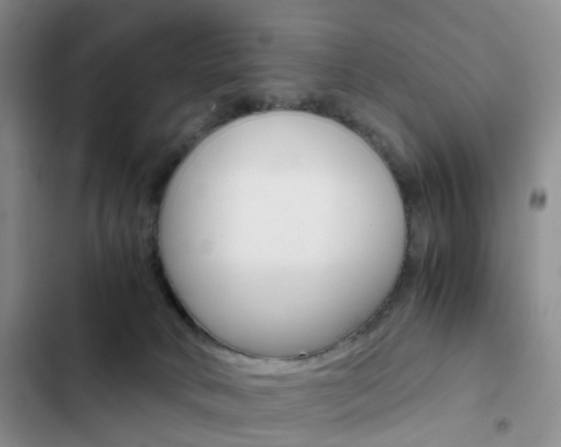 X0000103160034200808221202