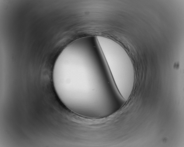 X0000103160035200808221202