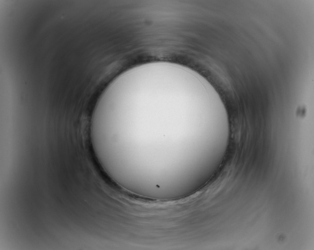 X0000103160036200808221202