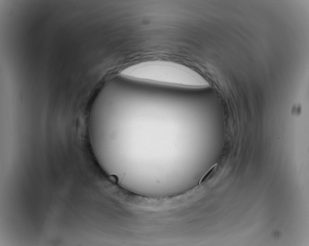X0000103160037200808221202