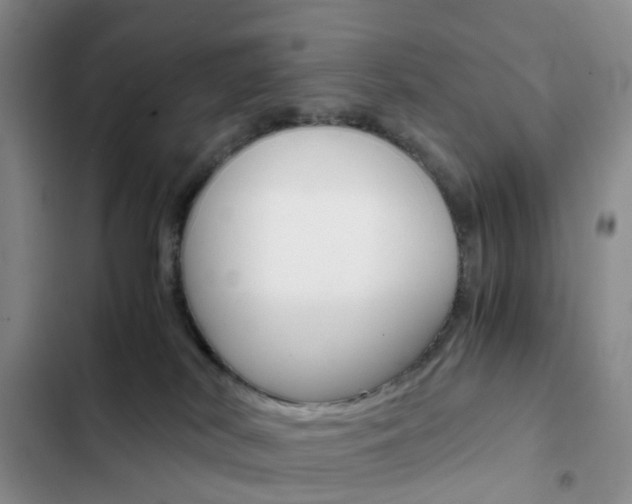 X0000103160038200808221202