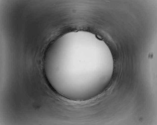 X0000103160039200808221202