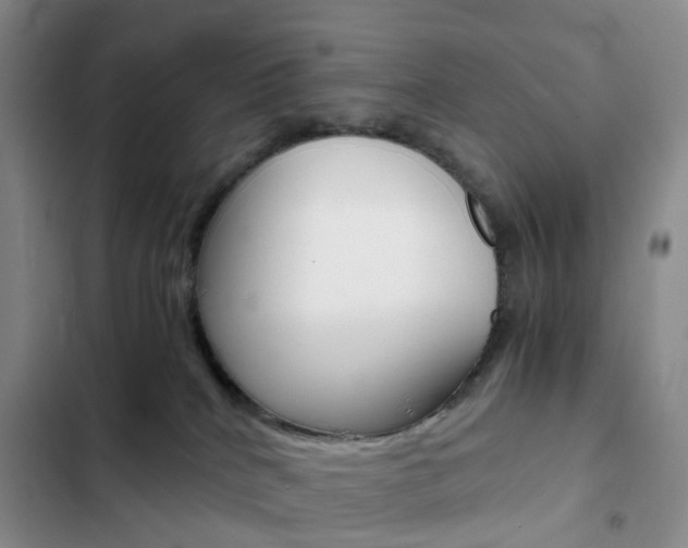 X0000103160040200808221202