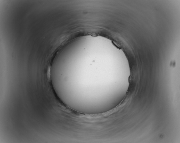 X0000103160041200808221202