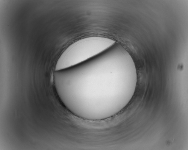 X0000103160042200808221202