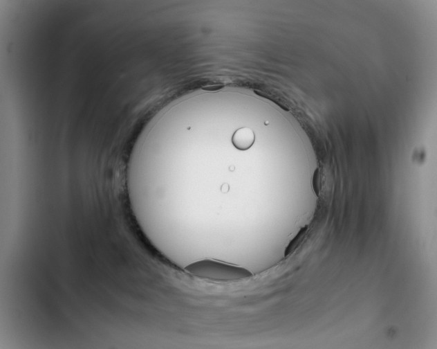 X0000103160043200808221202