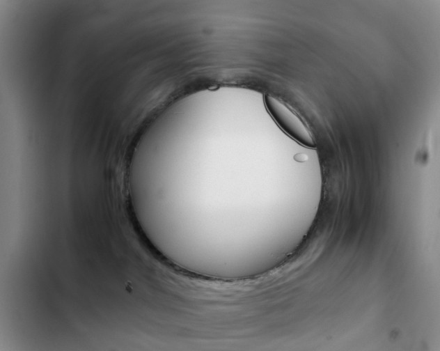 X0000103160044200808221202