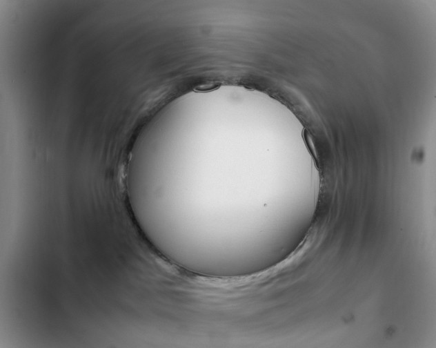 X0000103160045200808221202