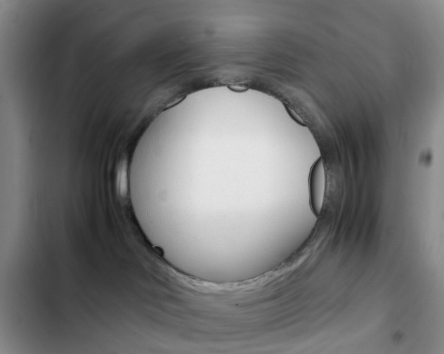 X0000103160046200808221202