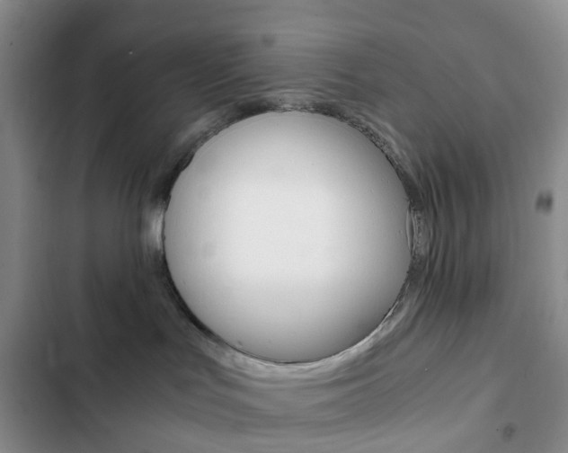 X0000103160047200808221202