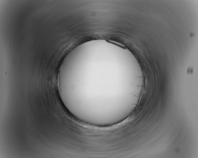 X0000103160048200808221202