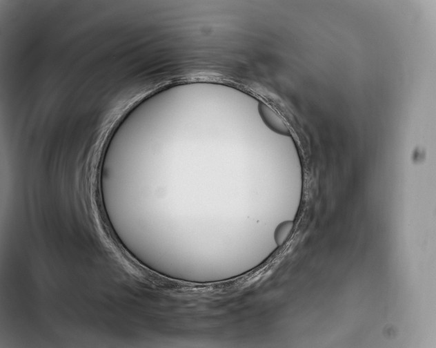 X0000103160049200808221202