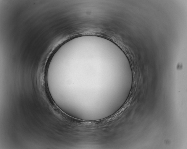 X0000103160050200808221202