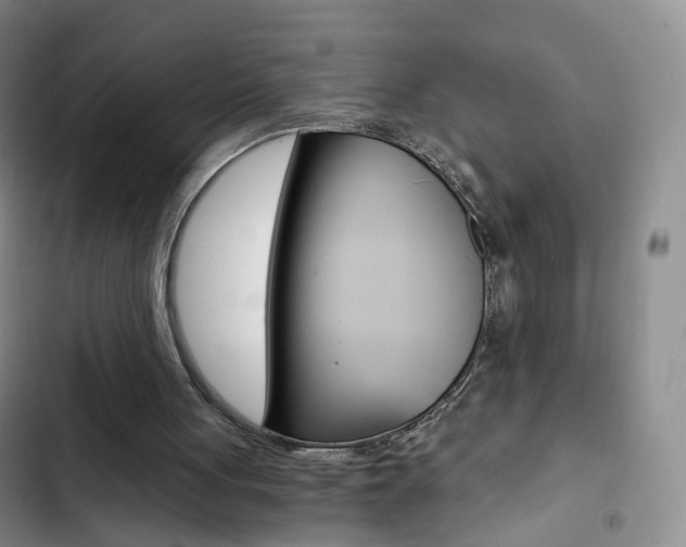 X0000103160051200808221202