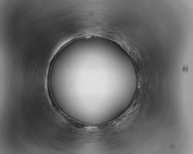 X0000103160052200808221202