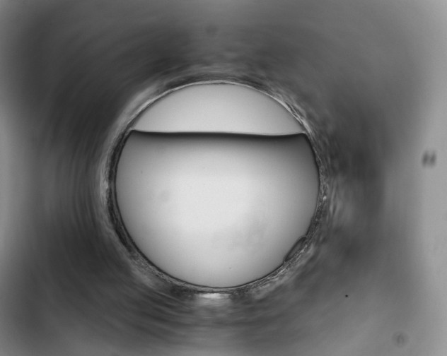 X0000103160053200808221202
