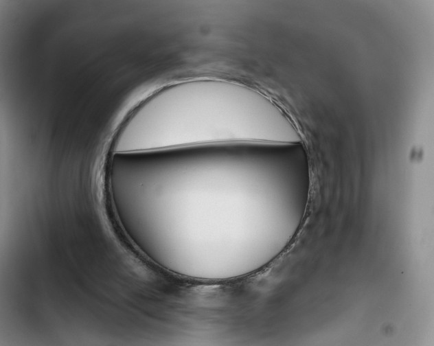X0000103160054200808221202