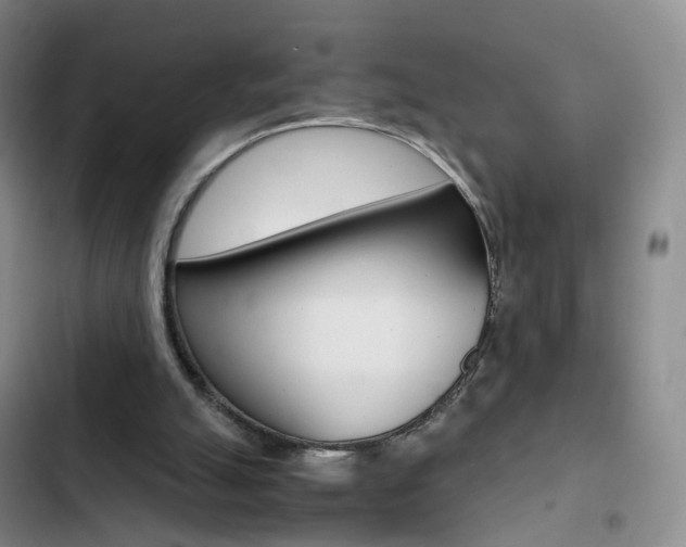 X0000103160055200808221202