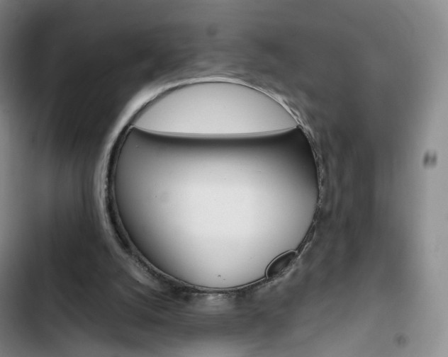 X0000103160056200808221202