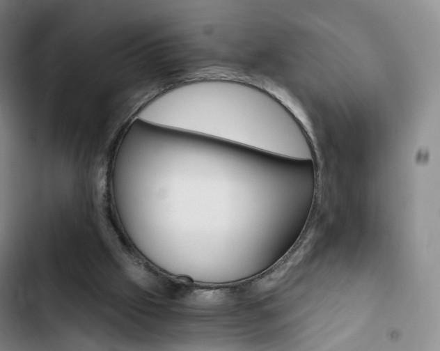 X0000103160057200808221202