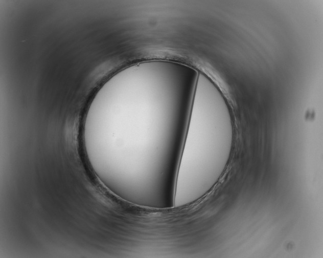 X0000103160058200808221202