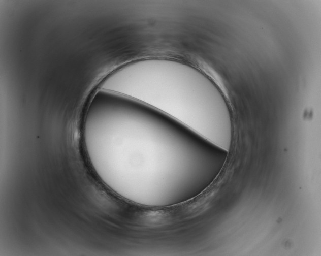 X0000103160059200808221202
