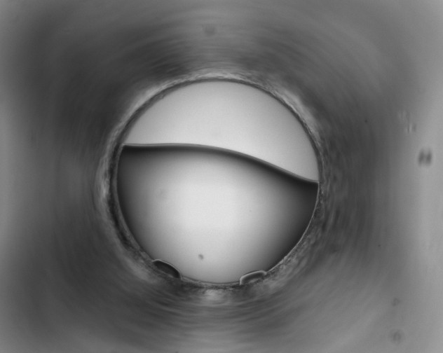 X0000103160060200808221202