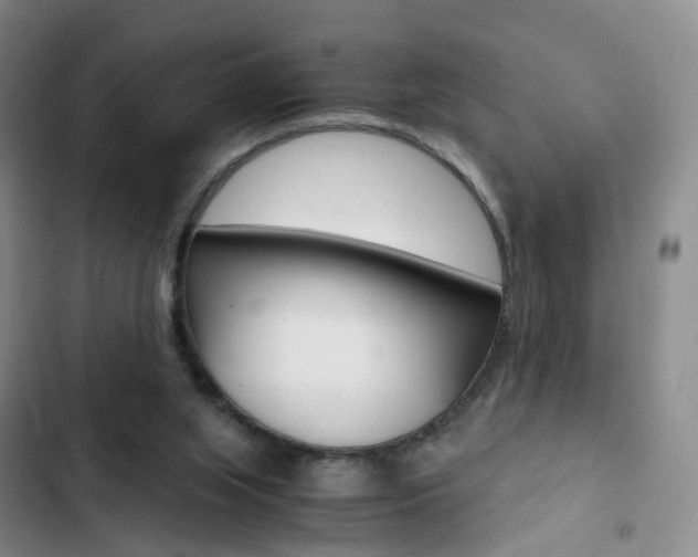 X0000103160063200808221202