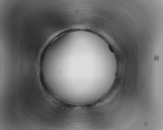X0000103160064200808221202