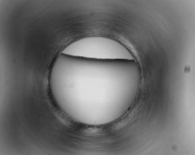X0000103160065200808221202