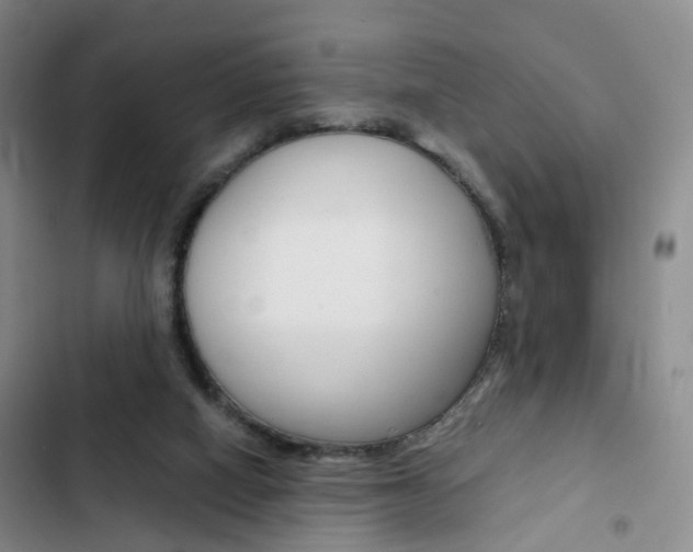 X0000103160066200808221202