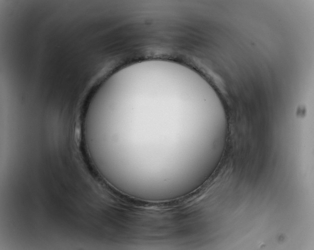 X0000103160067200808221202