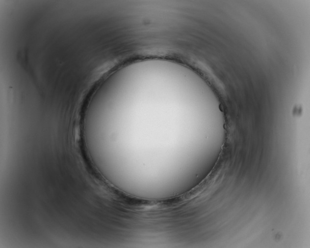 X0000103160068200808221202