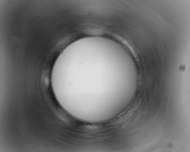 X0000103160069200808221202