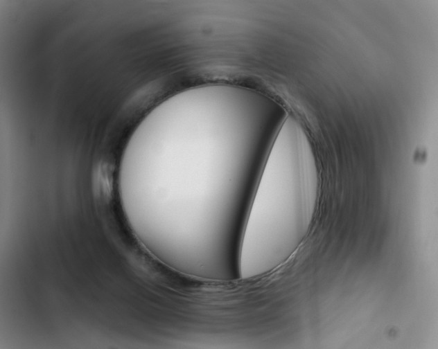 X0000103160070200808221202