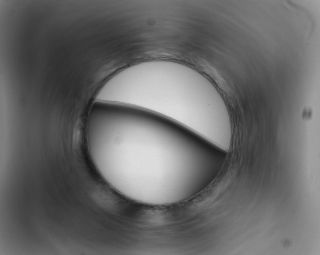 X0000103160071200808221202