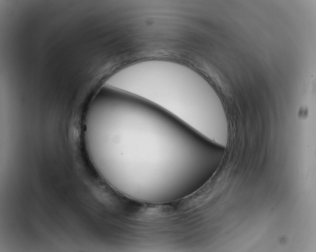 X0000103160072200808221202