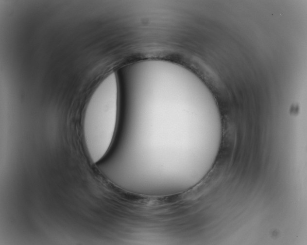 X0000103160074200808221202