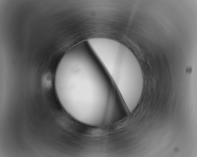 X0000103160075200808221202