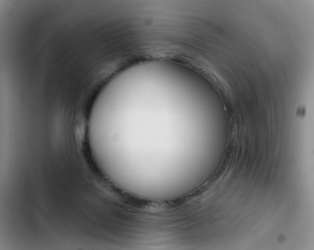 X0000103160076200808221202