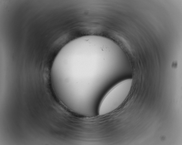 X0000103160077200808221202