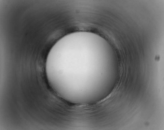 X0000103160078200808221202