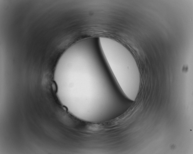 X0000103160079200808221202